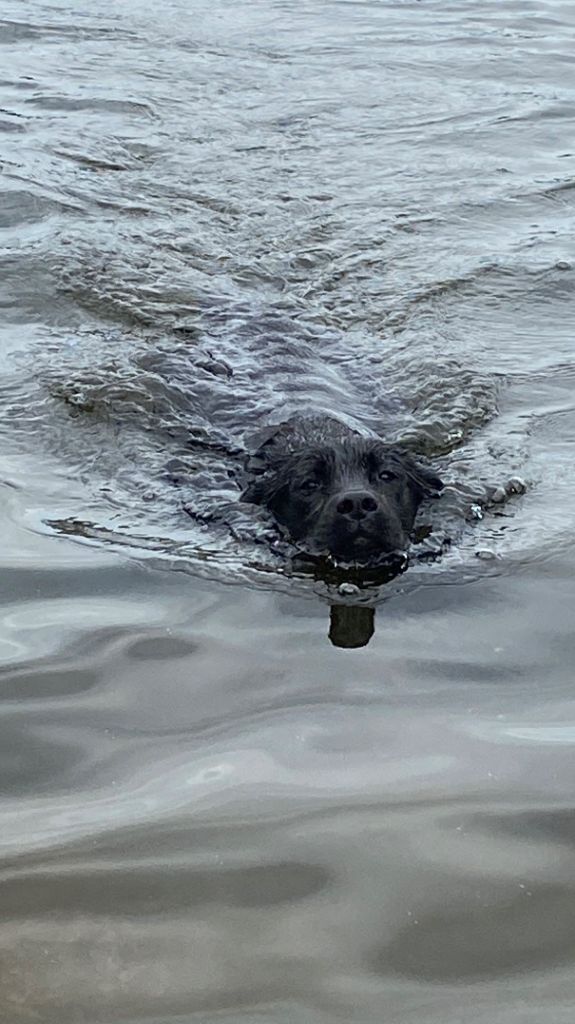 So naughty but so cute of the Ocean's Smile