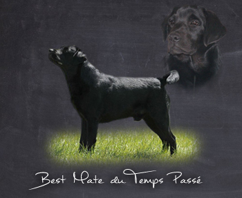 Best mate du temps passé