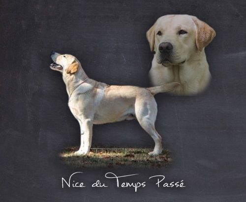 TR. CH. Nice du temps passé