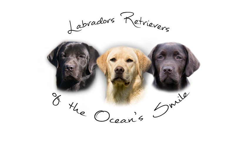 of the Ocean's Smile